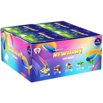  طعم نعناع نیودنت - 20 گرم بسته 16 عددی635f33ca8db09341050